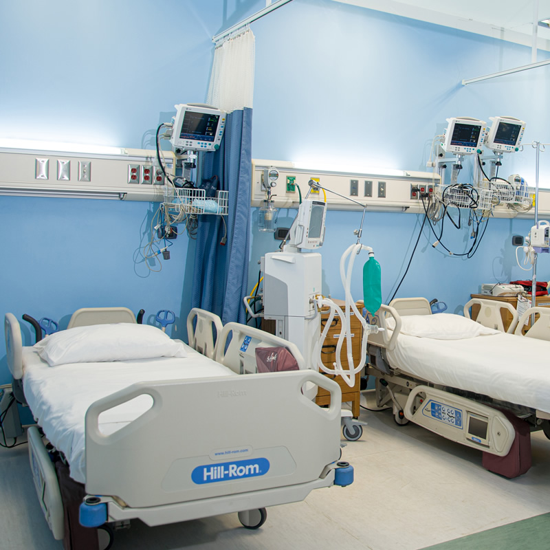 Hospitalización (Endovascular)